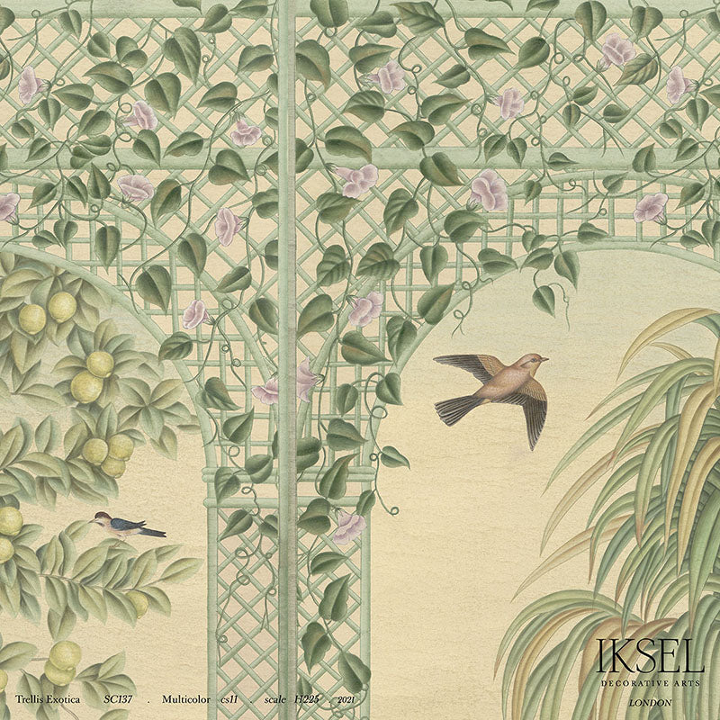 TRELLIS-EXOTICA-MULTICOLOR-SCHUMACHER-IK6600