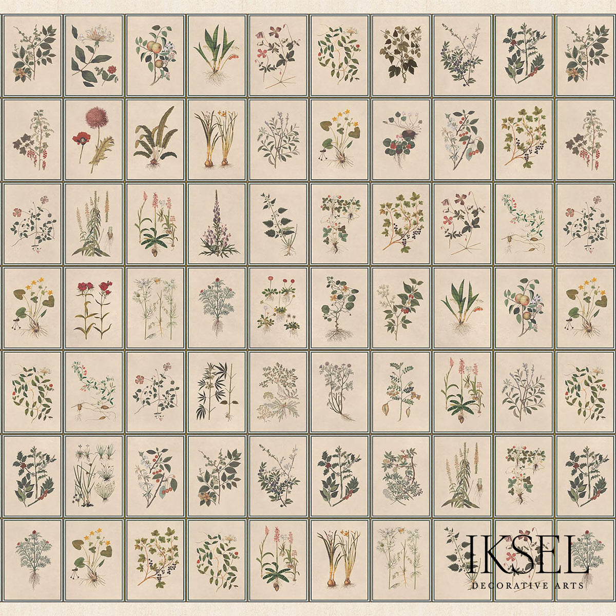 RENAISSANCE-HERBIER-ORIGINAL-SCHUMACHER-IK7400