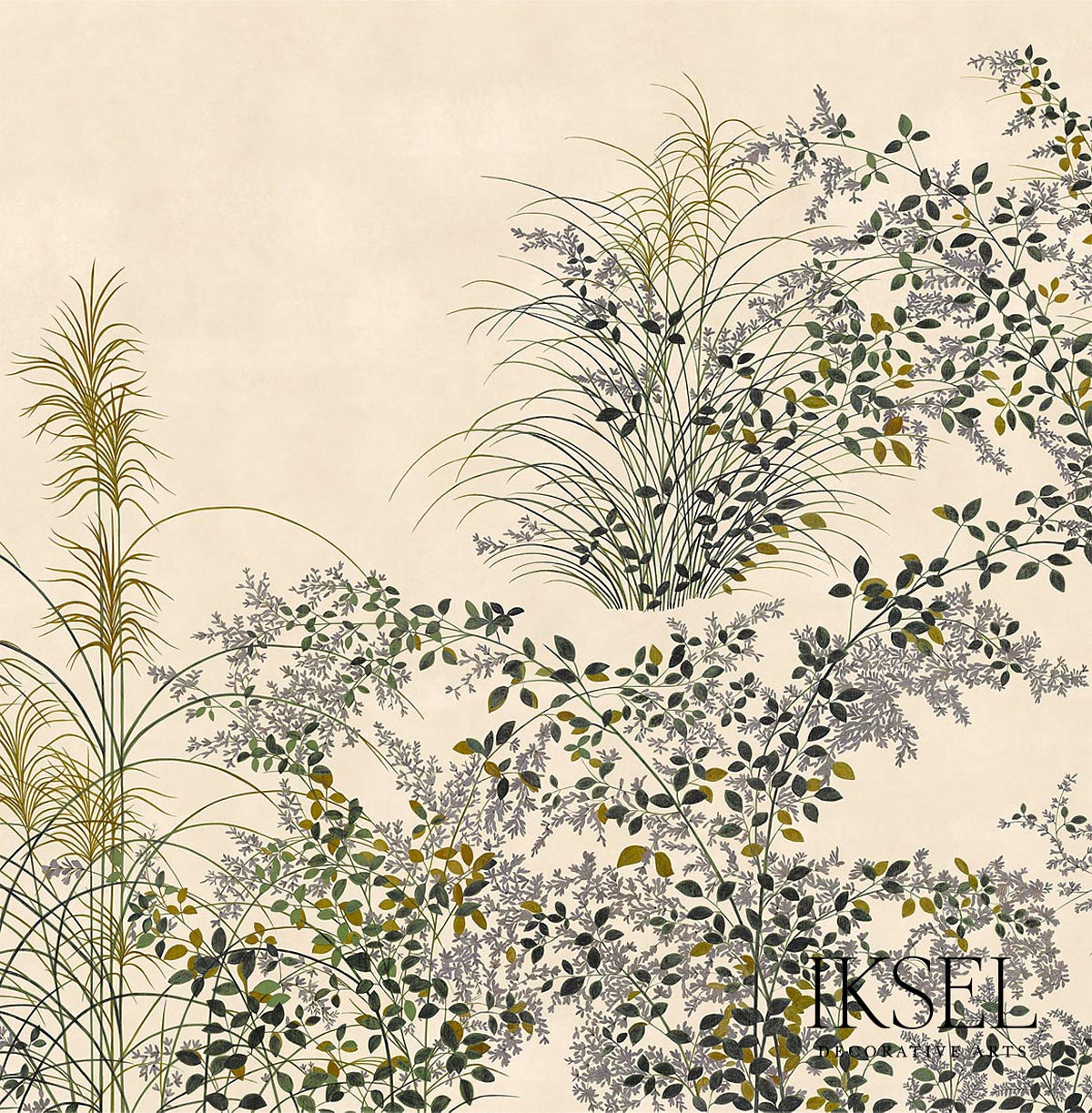 JAPANESE-MEADOW-RICE-SCHUMACHER-IK8202