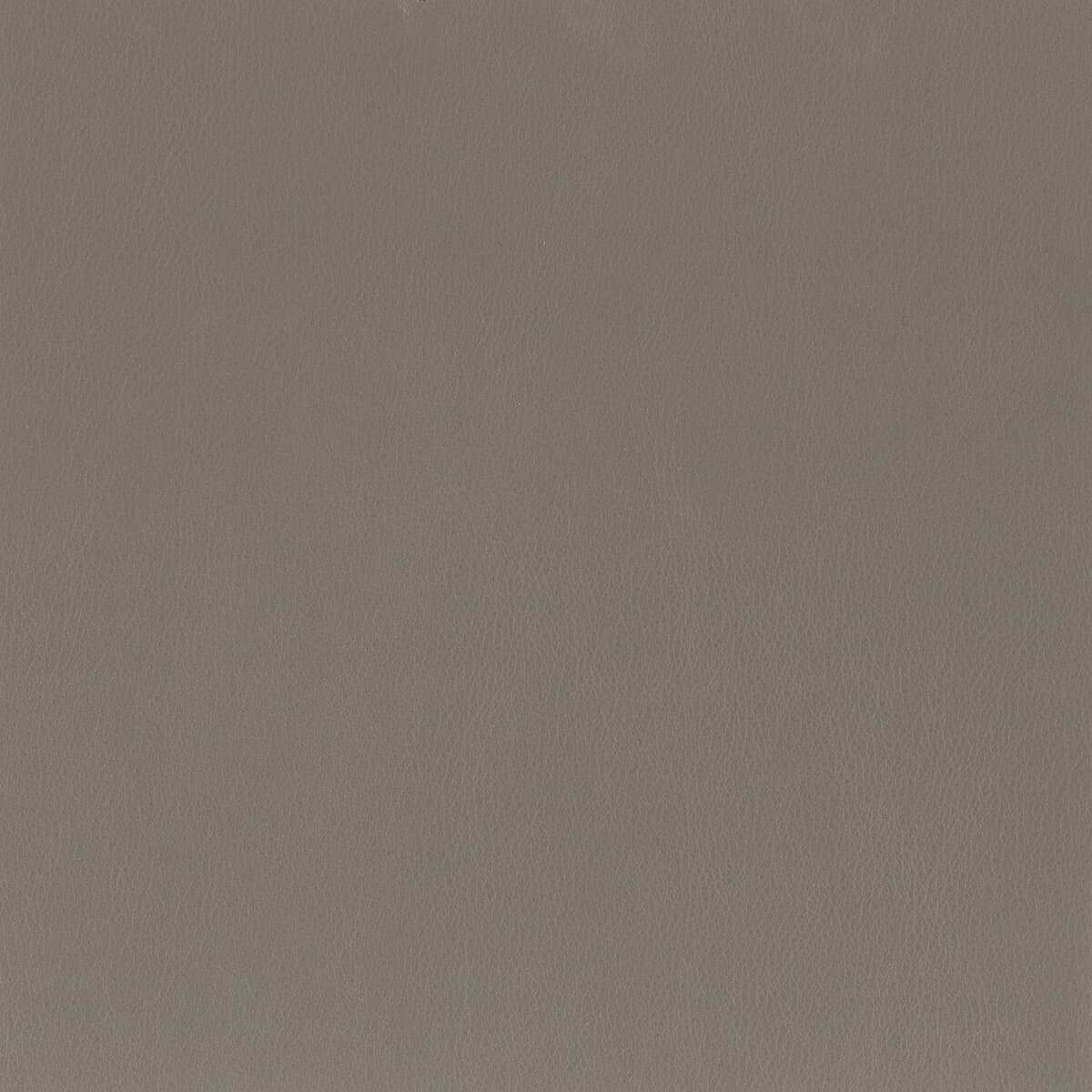 INDEPENDENCE-7-IRON-STOUT-TEXTILES