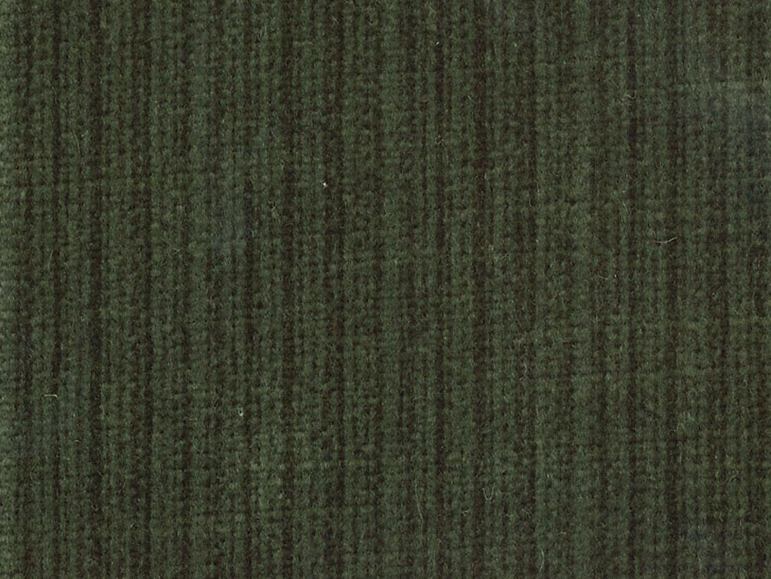 Strie Amboise - Olive