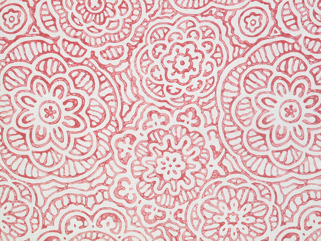 Alan - Coral