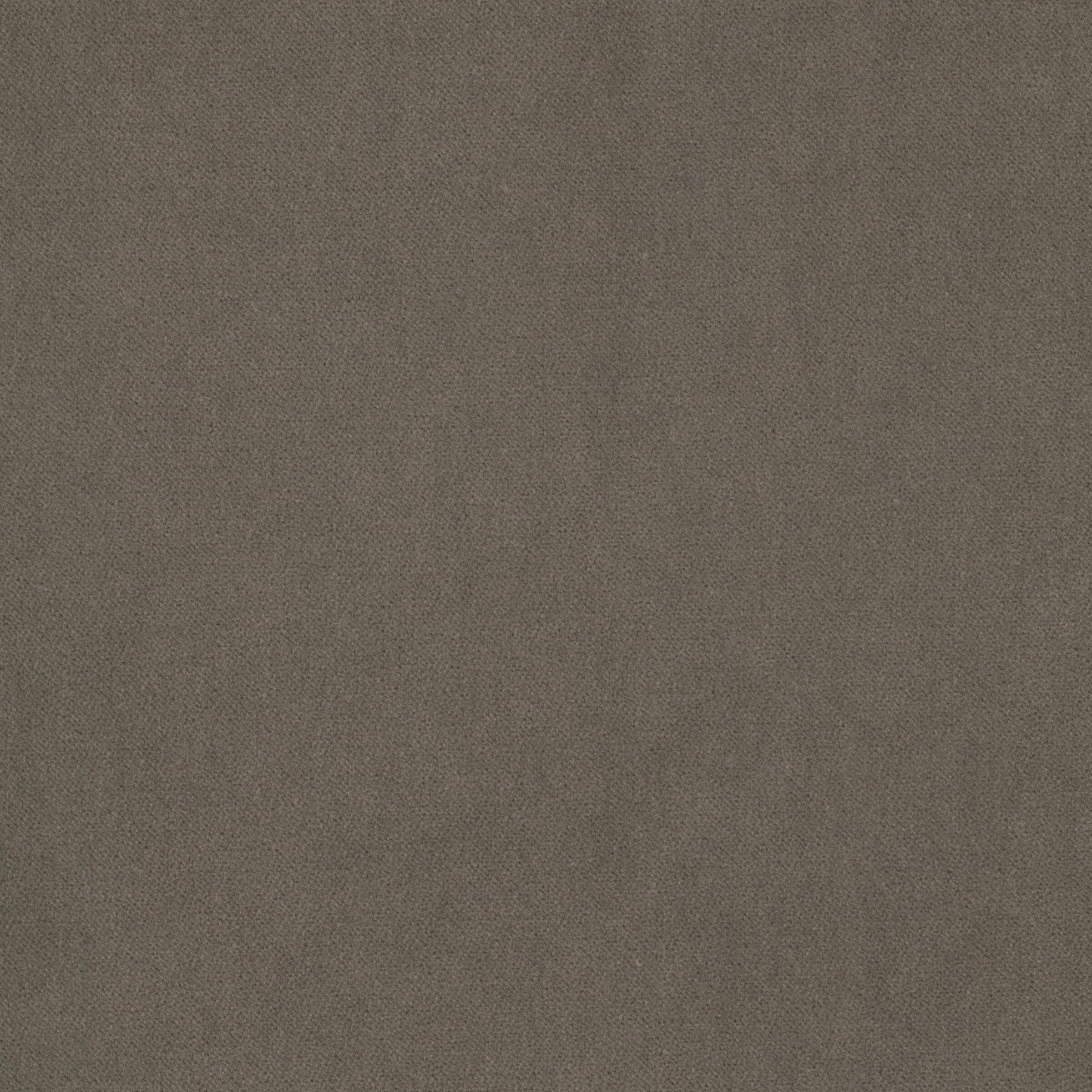 JOSTLE-2-NUT-STOUT-TEXTILES - Stout Textiles Fabric