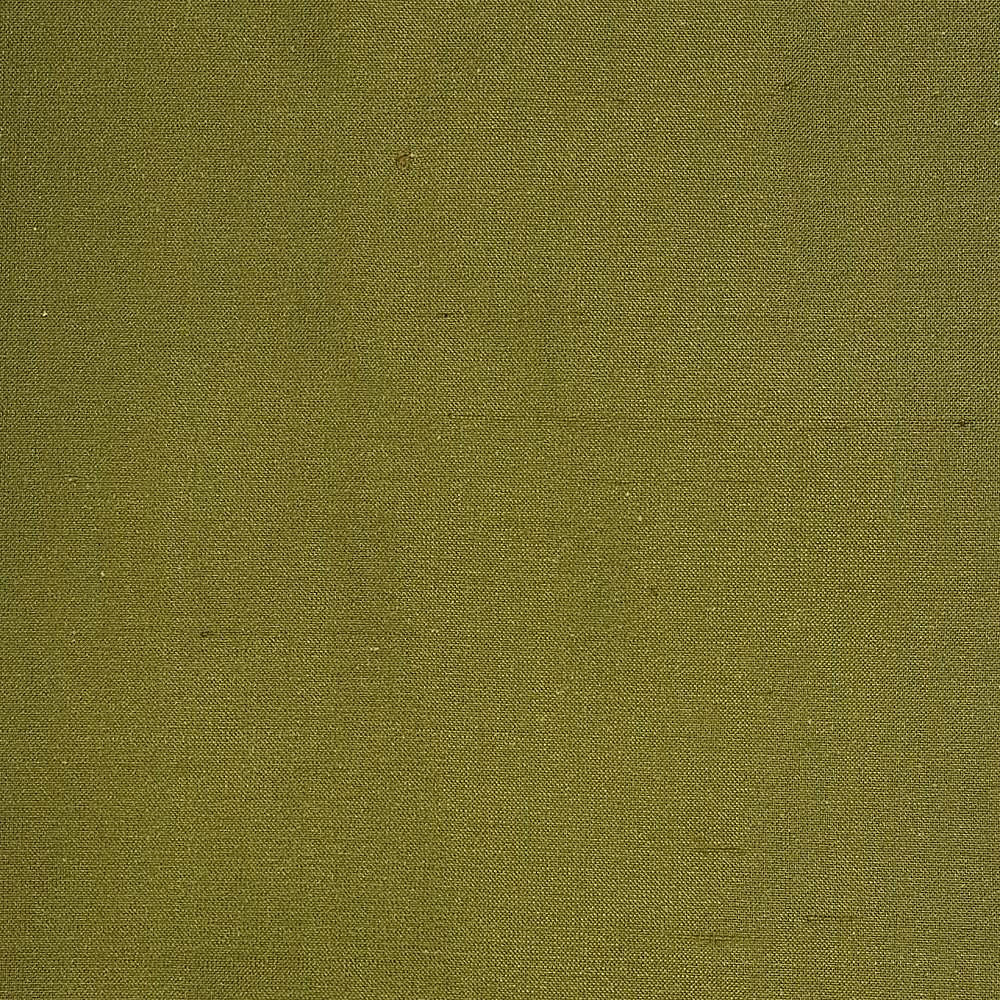 Dupioni Solids - Raipur - Scalamandre Fabric