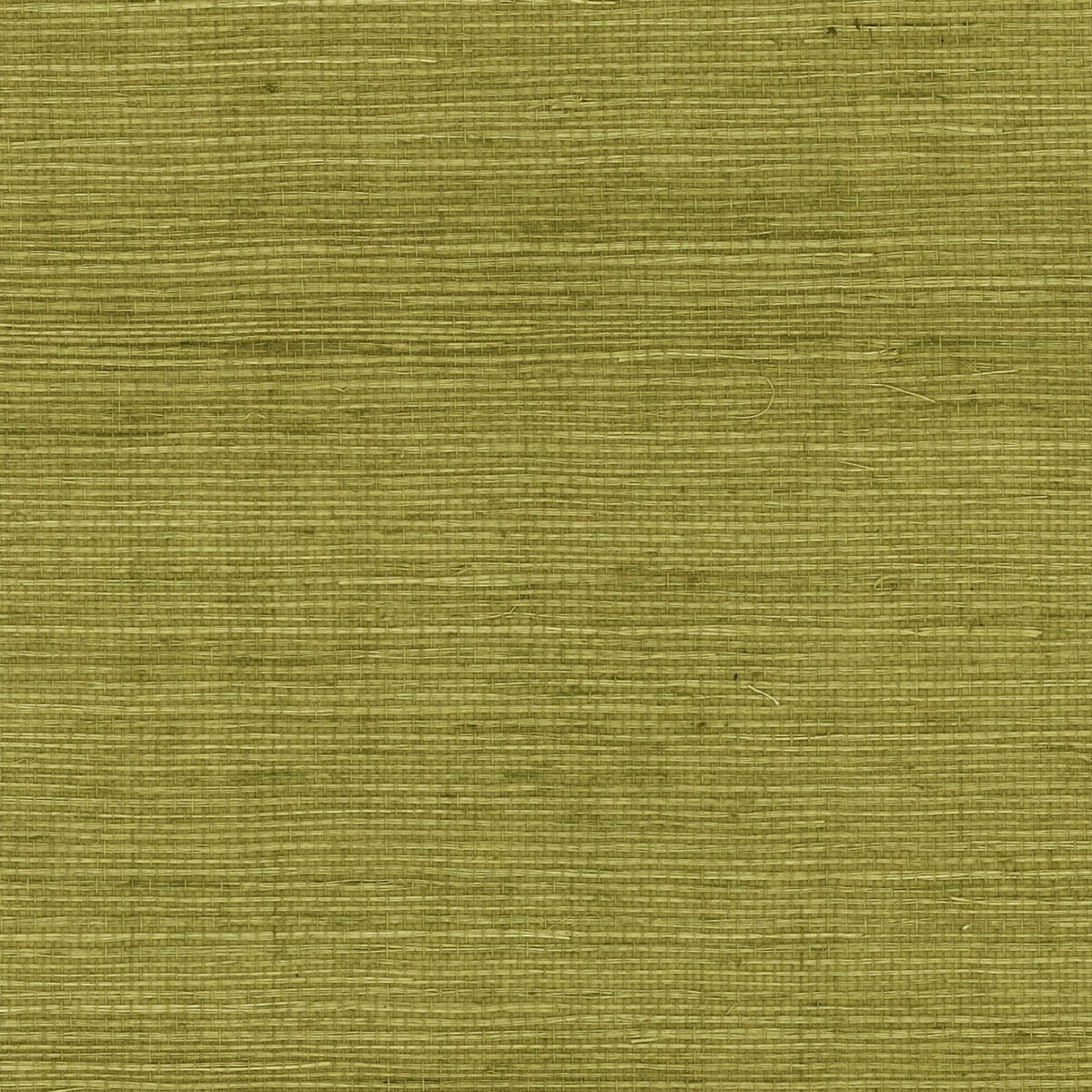 Lillian August LN11804 Sisal Grasscloth  Wallpaper Olive