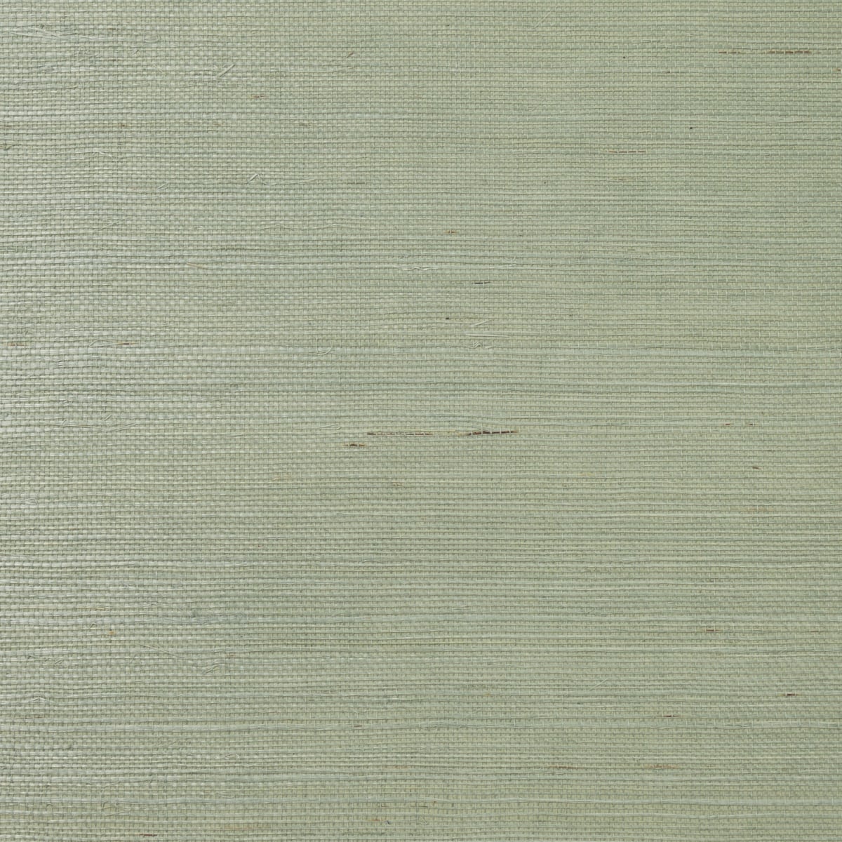 Lillian August LN11824 Sisal Grasscloth  Wallpaper Tender Green