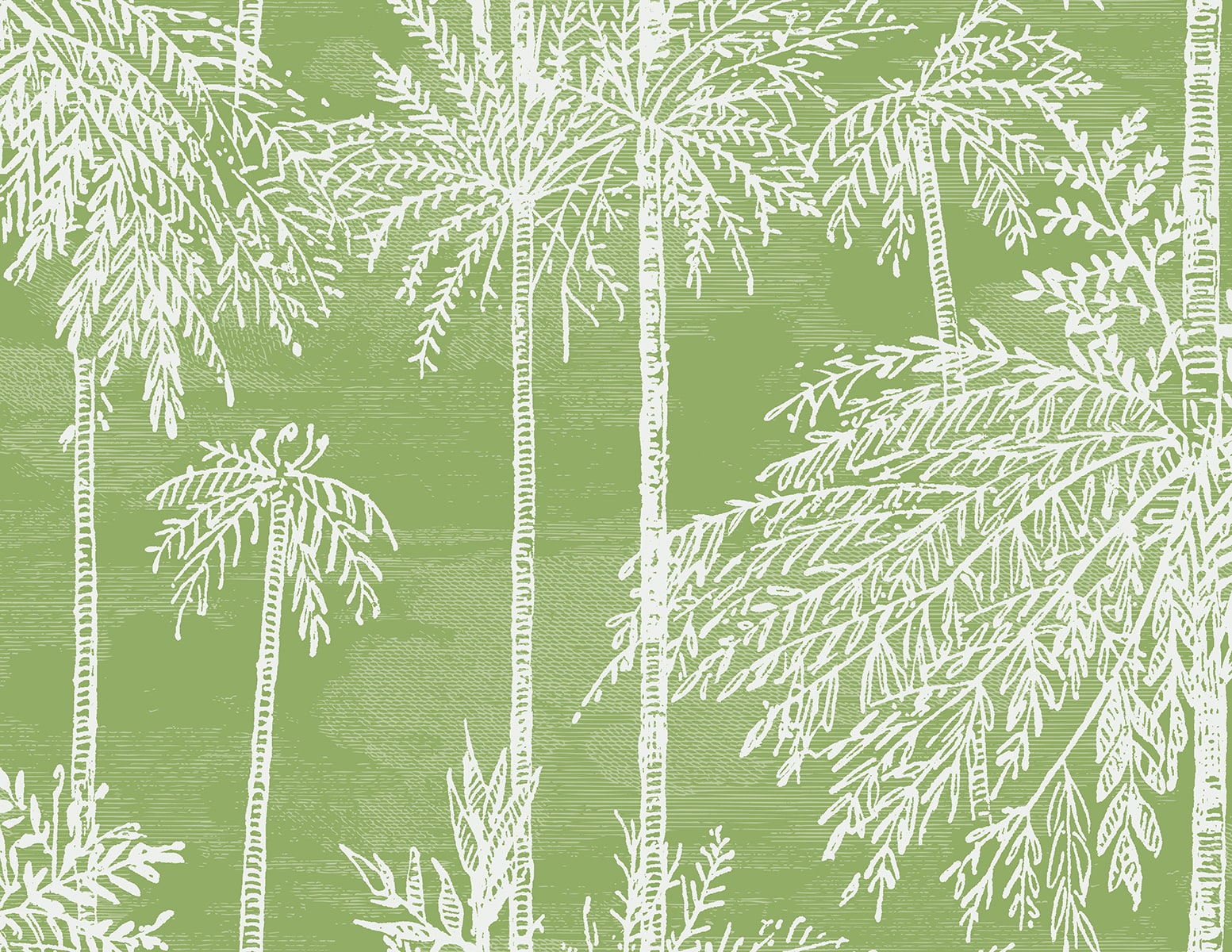 Lillian August LN40204 Coastal Haven Palm Grove  Embossed Vinyl  Wallpaper Summer Fern