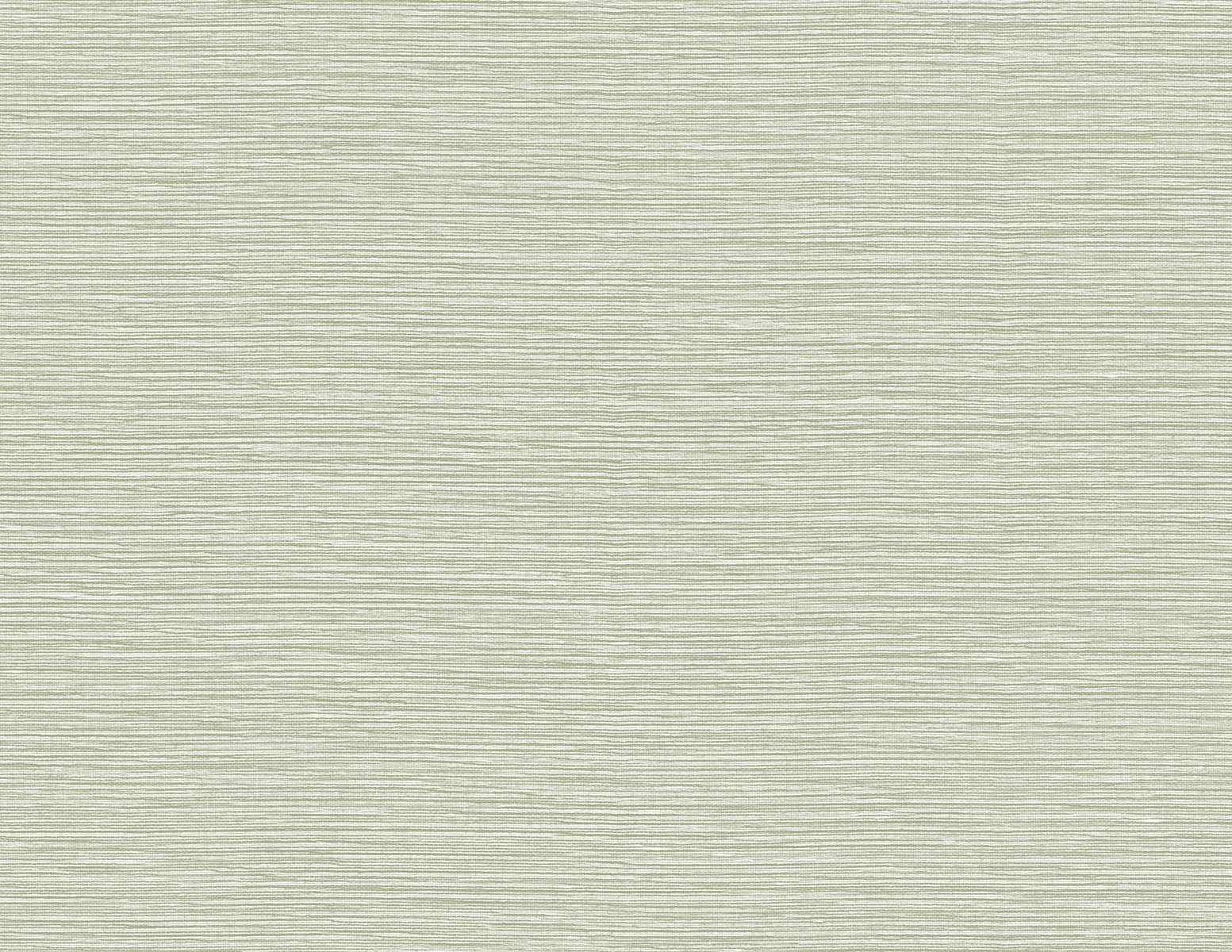 Lillian August LN40414 Coastal Haven Tiger Island Faux Sisal Embossed Vinyl  Wallpaper Aloe