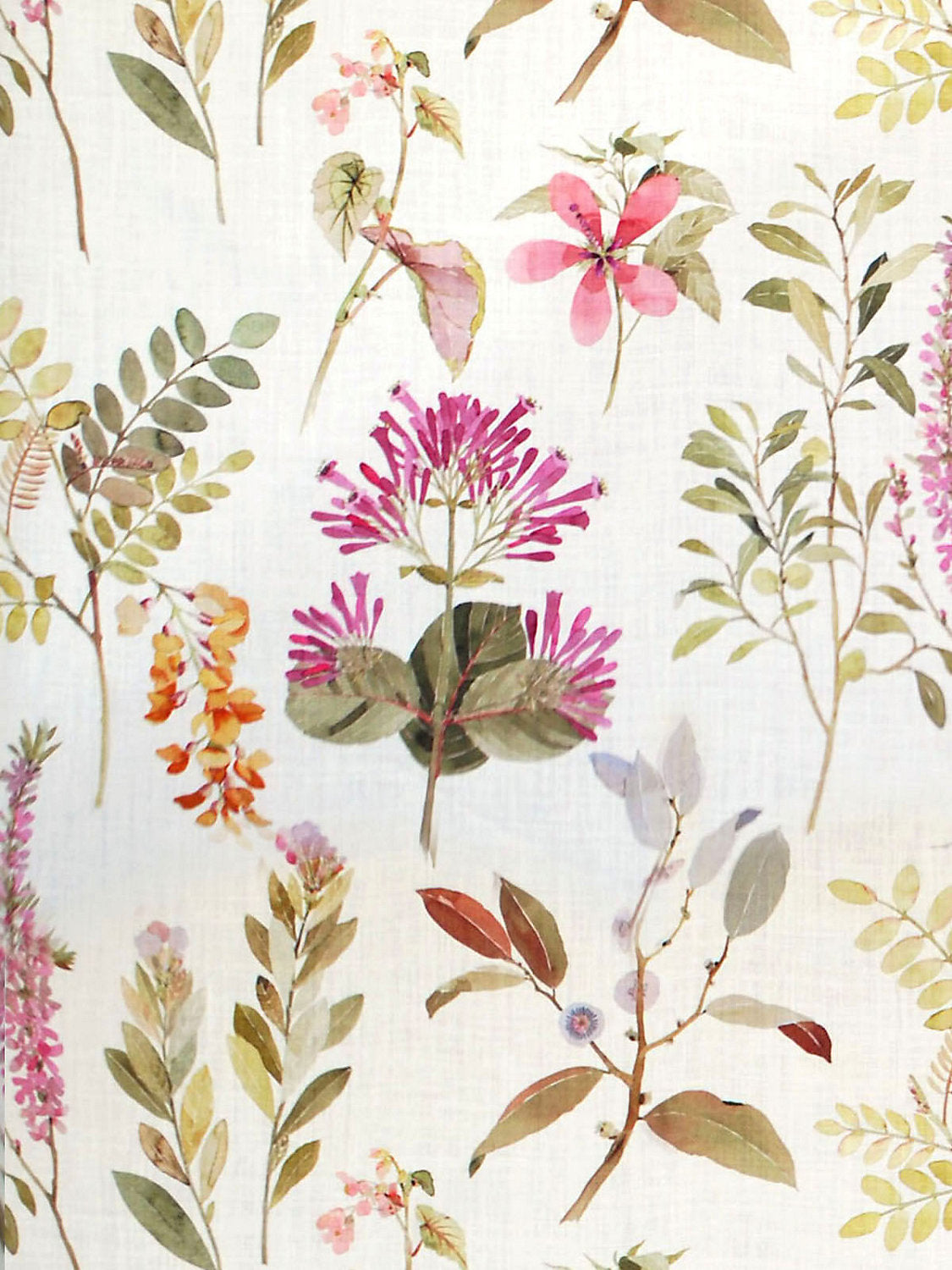 Sissinghurst - Purple / Multi - Scalamandre Fabric