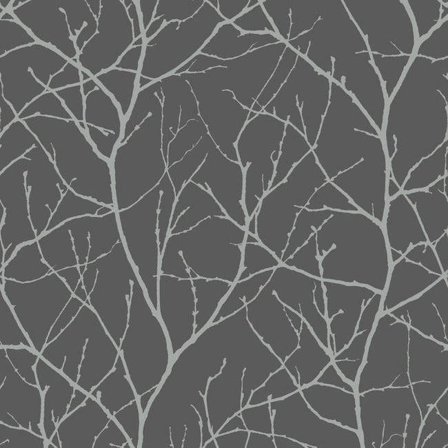 Trees Silhouette Wallpaper - Charcoal/Silver - York Wallcoverings - MD7125