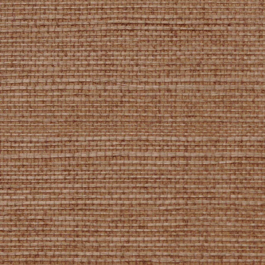 minka-min-08-miscanthus-innovations