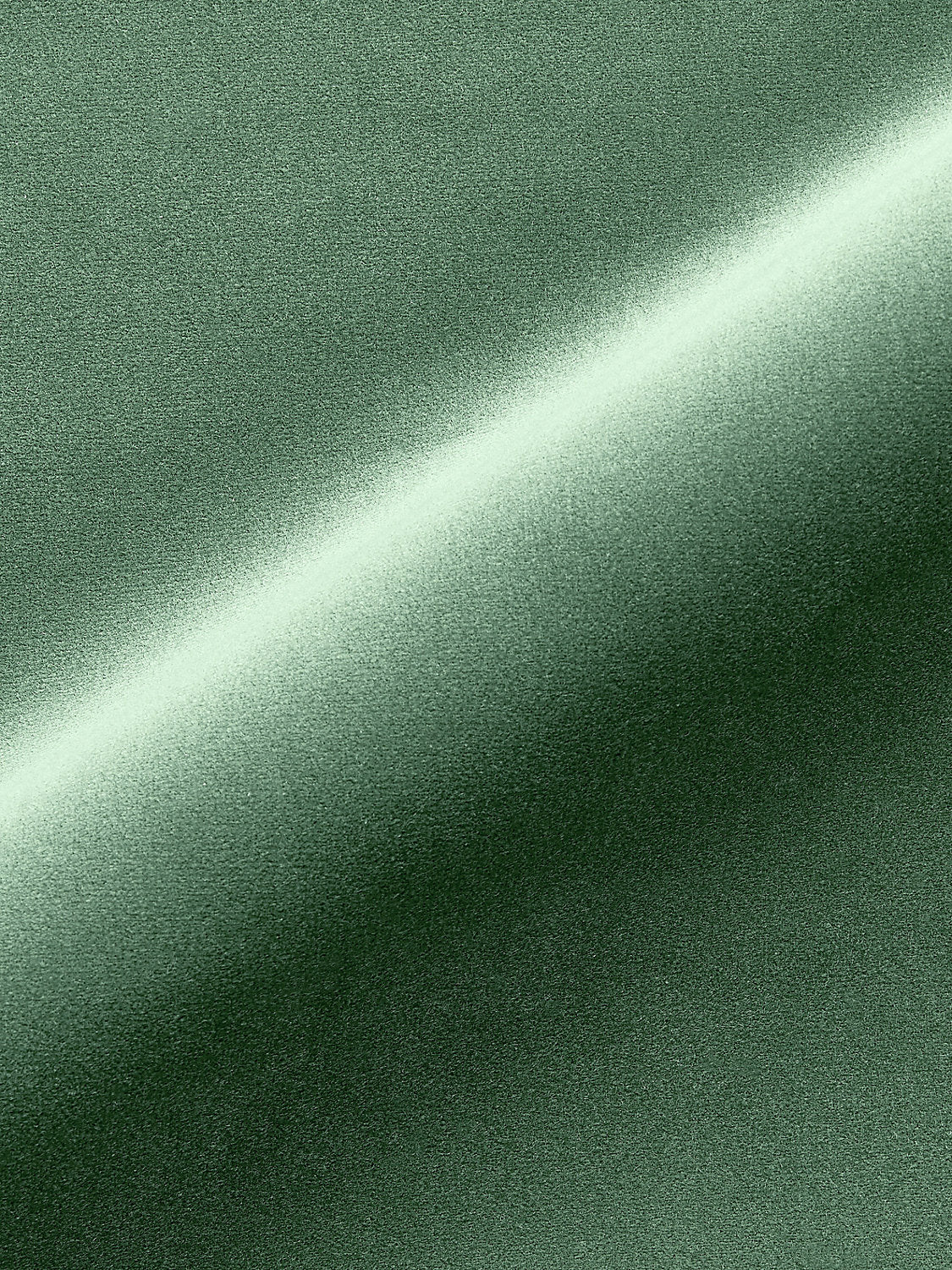 Torino Velvet - Evergreen - Scalamandre Fabric