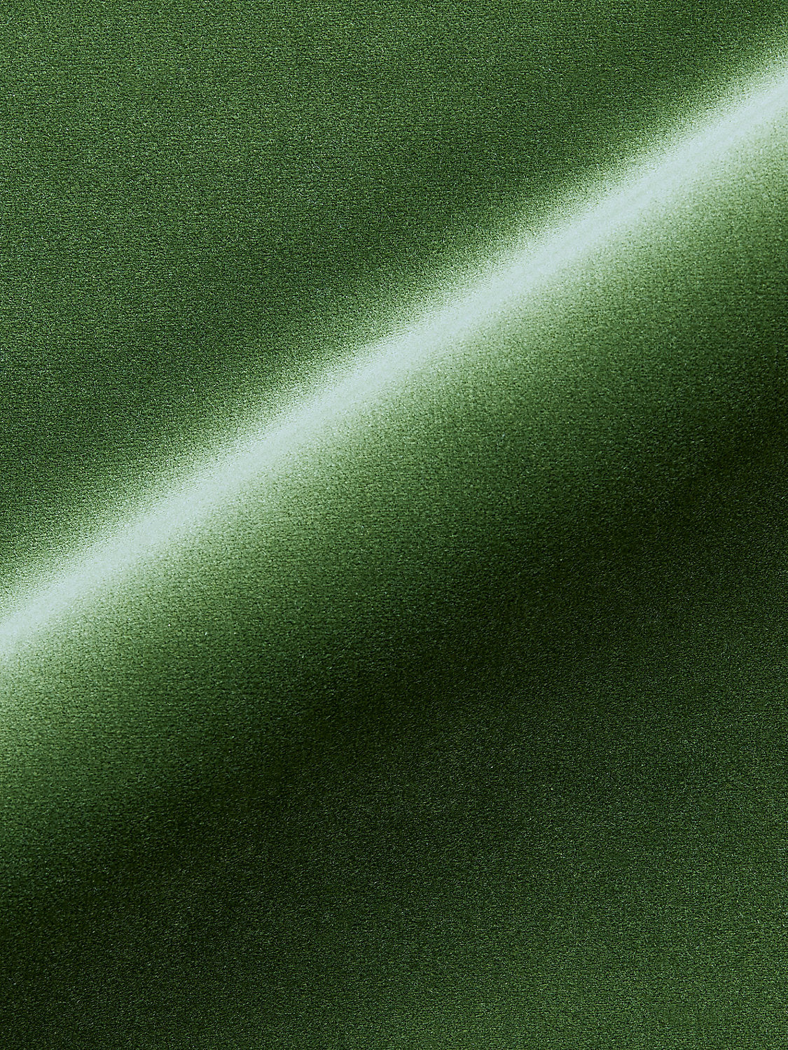 Torino Velvet - Jungle - Scalamandre Fabric