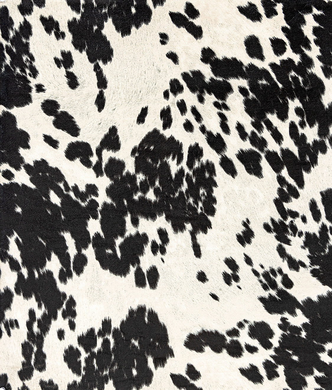 Pony - Black - Scalamandre Fabric