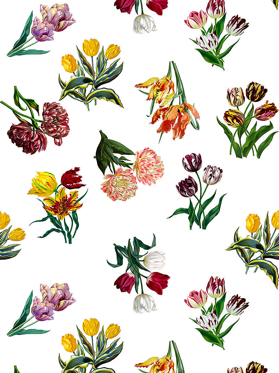 Etudes De Fleurs - Brights