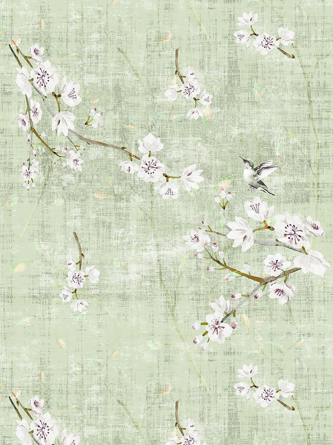 Blossom Fantasia | Sheer - Celadon