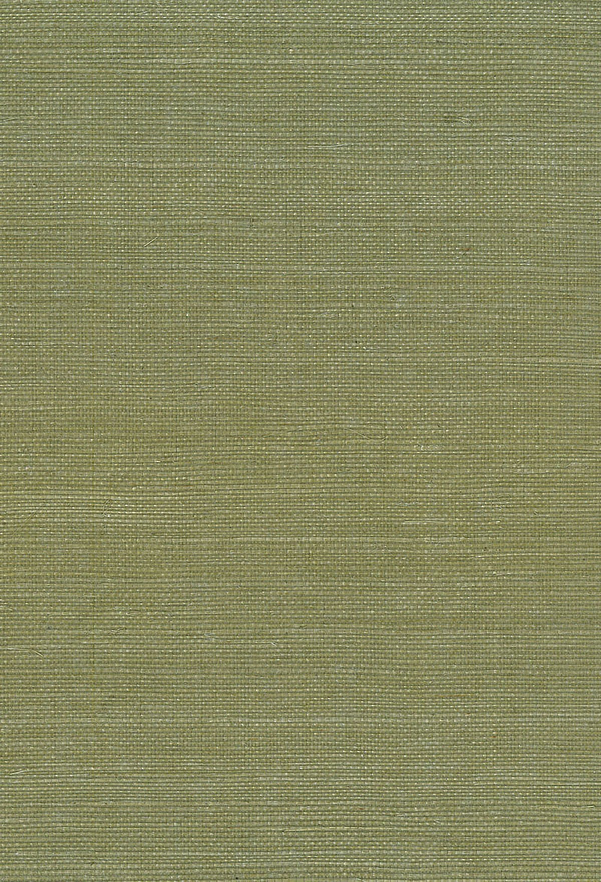 Seabrook Designs NA208 Natural Resource Sisal Grasscloth  Wallpaper Green