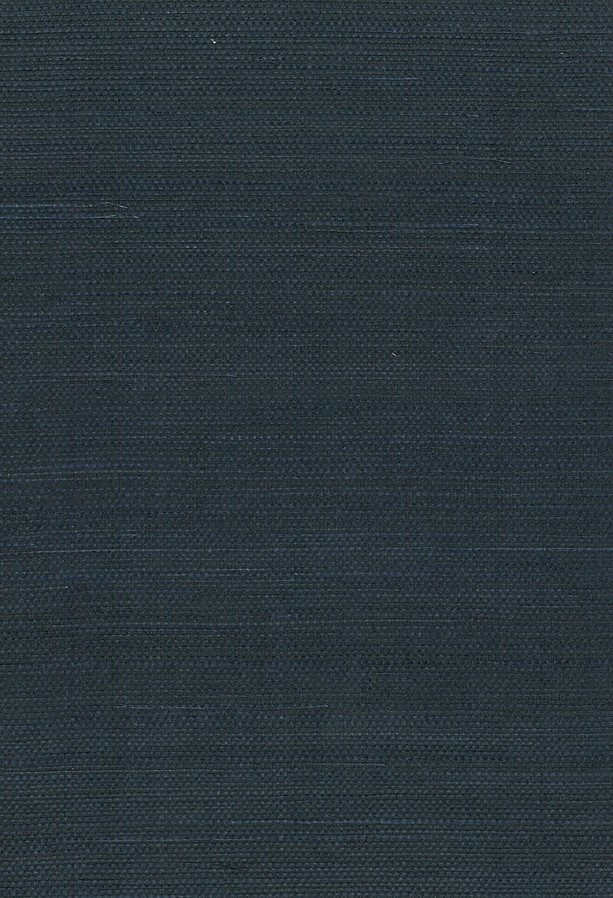 Seabrook Designs NA210 Natural Resource Sisal Grasscloth  Wallpaper Blue