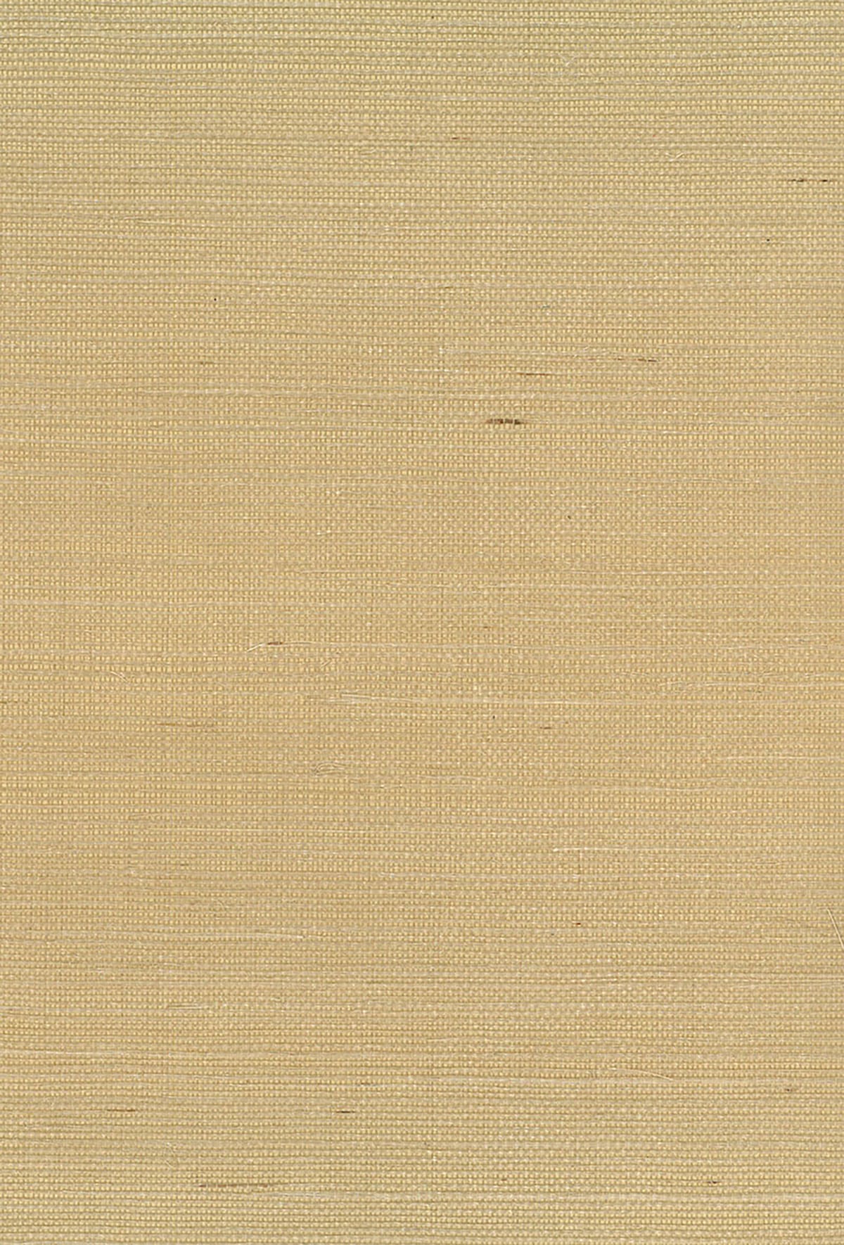 Seabrook Designs NA211 Natural Resource Sisal Grasscloth  Wallpaper Brown