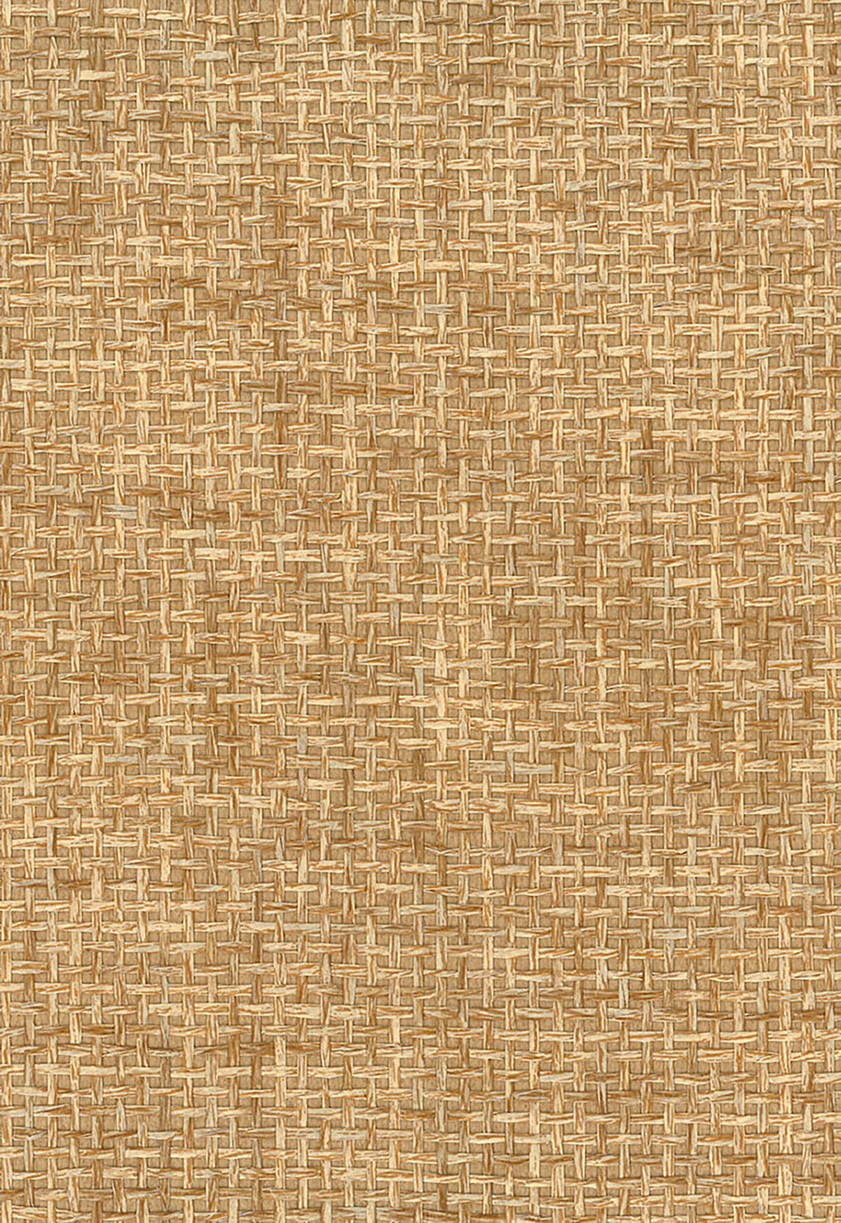Seabrook Designs NA501 Natural Resource Paperweave Grasscloth  Wallpaper Brown
