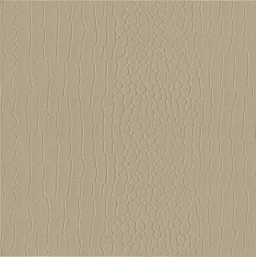 naples-nal-002-laredo-innovations