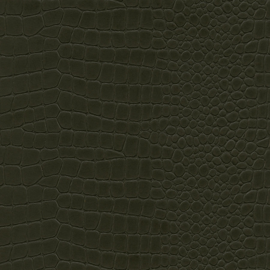 naples-nal-006-everglade-innovations