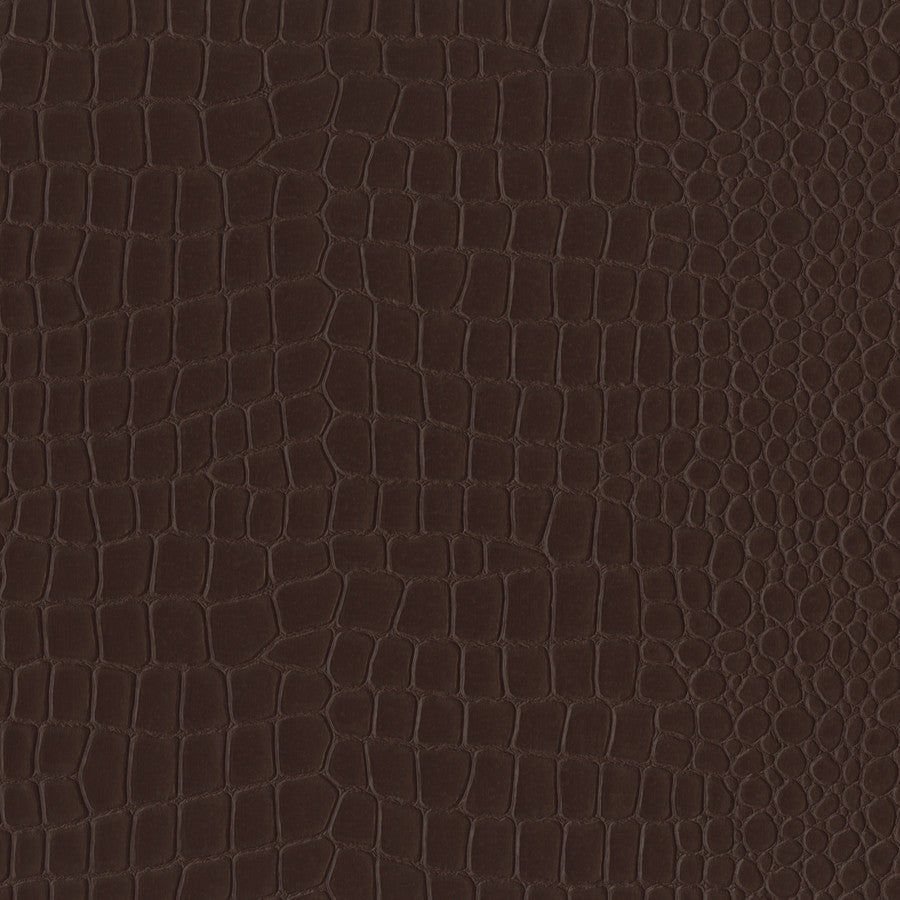 naples-nal-007-cayman-innovations