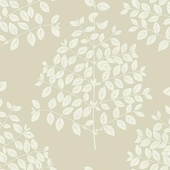 tender-wallpaper-pearl-taupe-york-wallcoverings-os4253