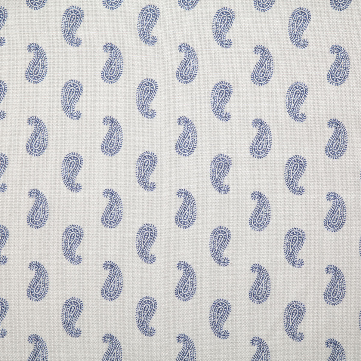 p6439-kirby-indigo-pindler