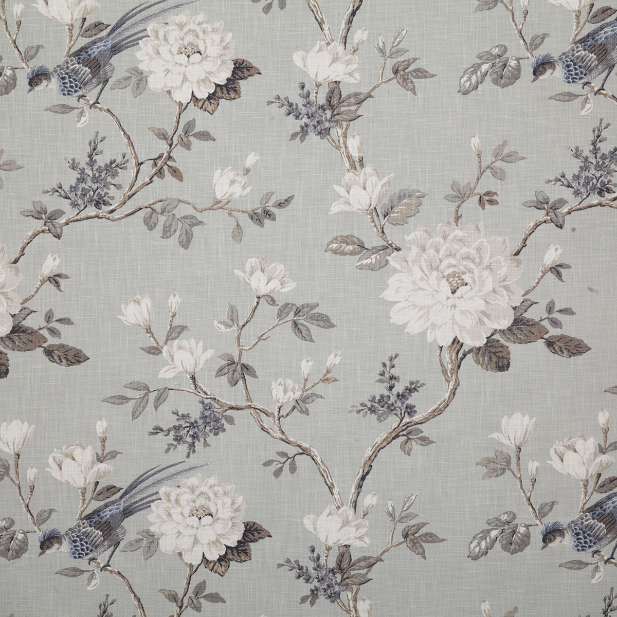 p6523-lafitte-dove-pindler - Pindler Tela