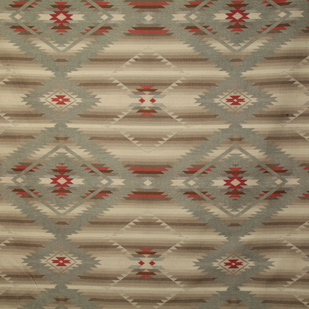 p6638-taos-natural-pindler