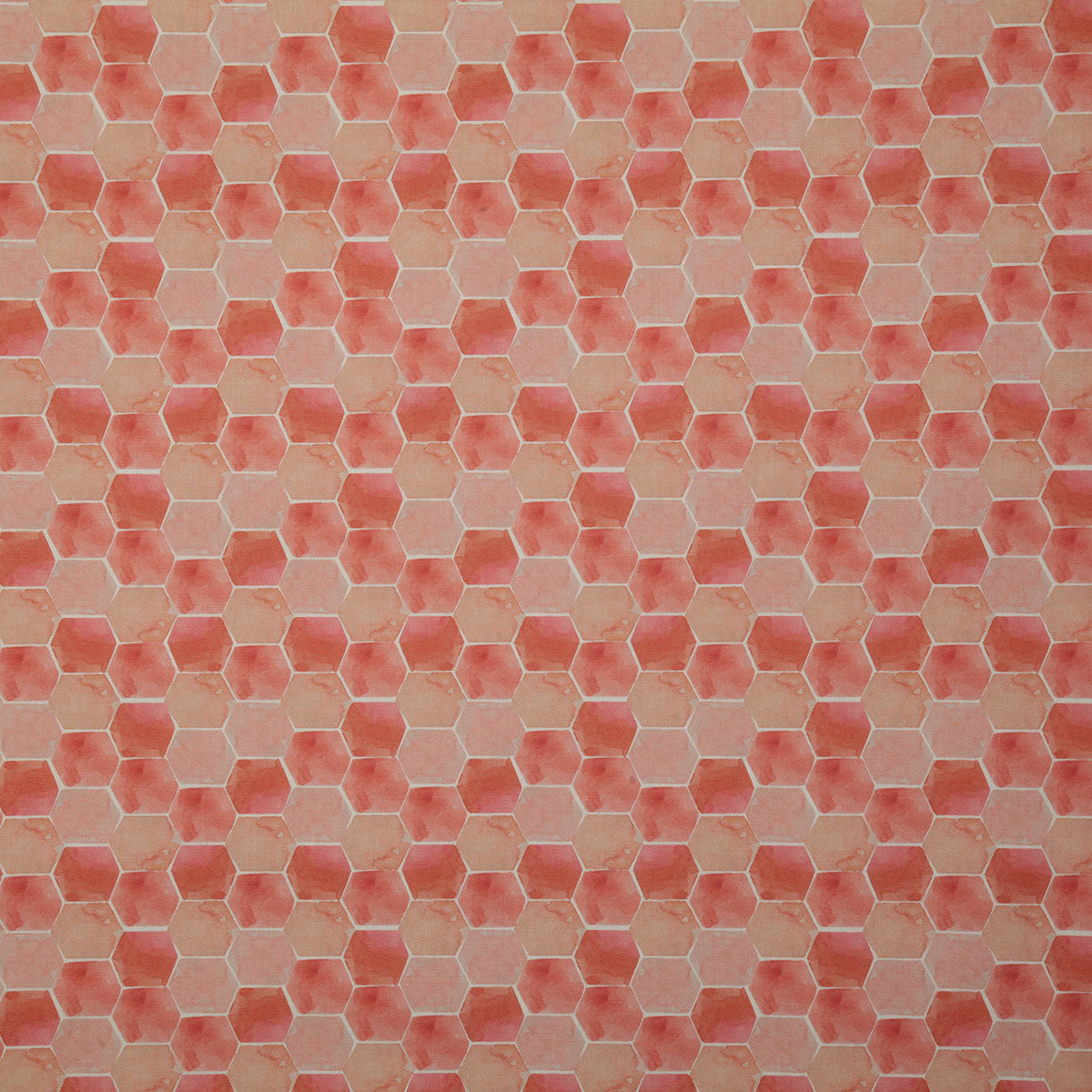 p6713-calvert-coral-pindler