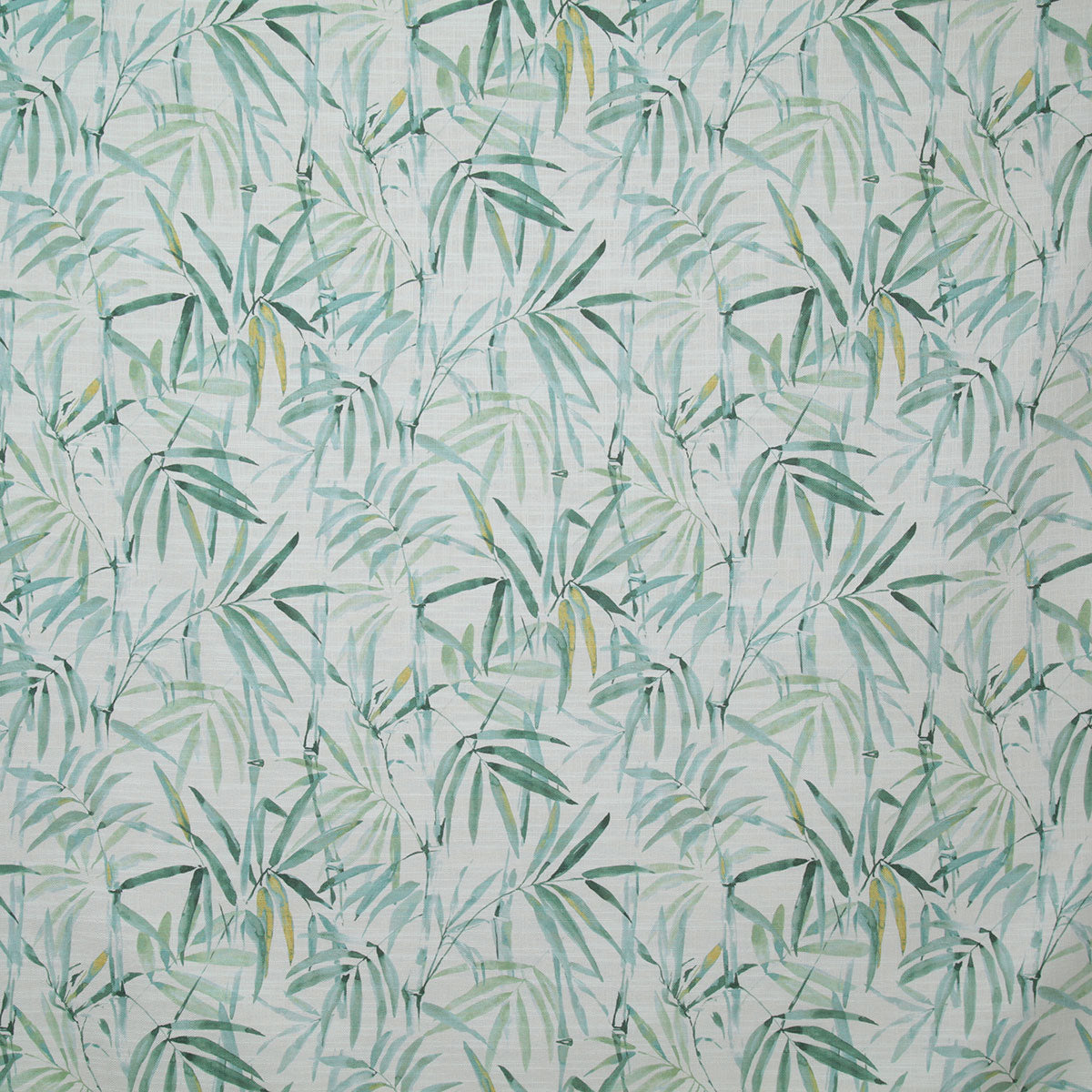 p6752-mira-palm-pindler