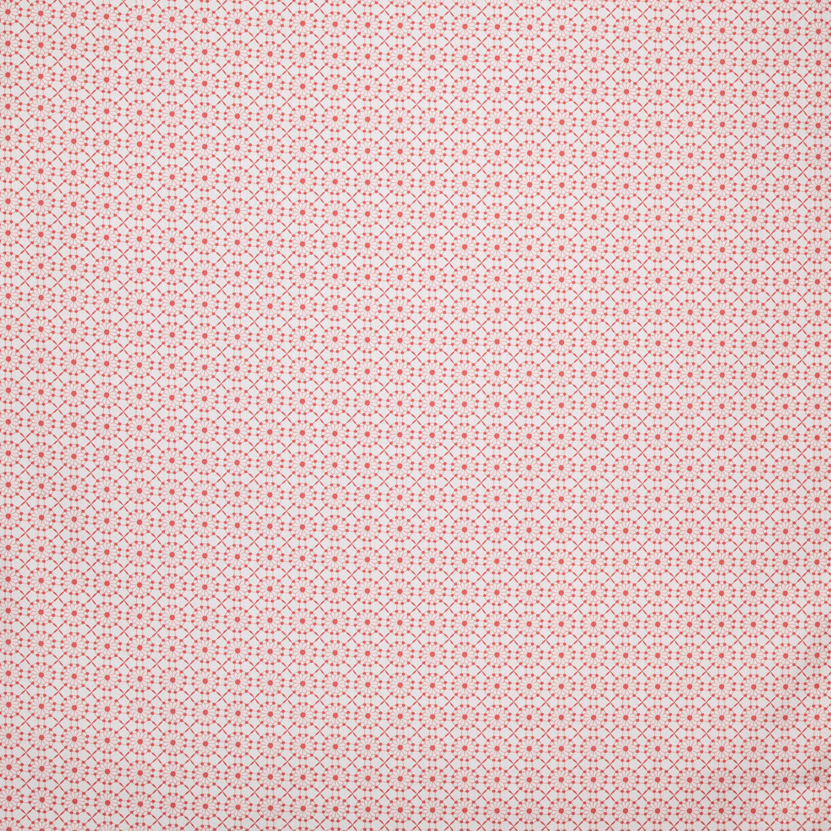 p6872-augustine-coral-pindler