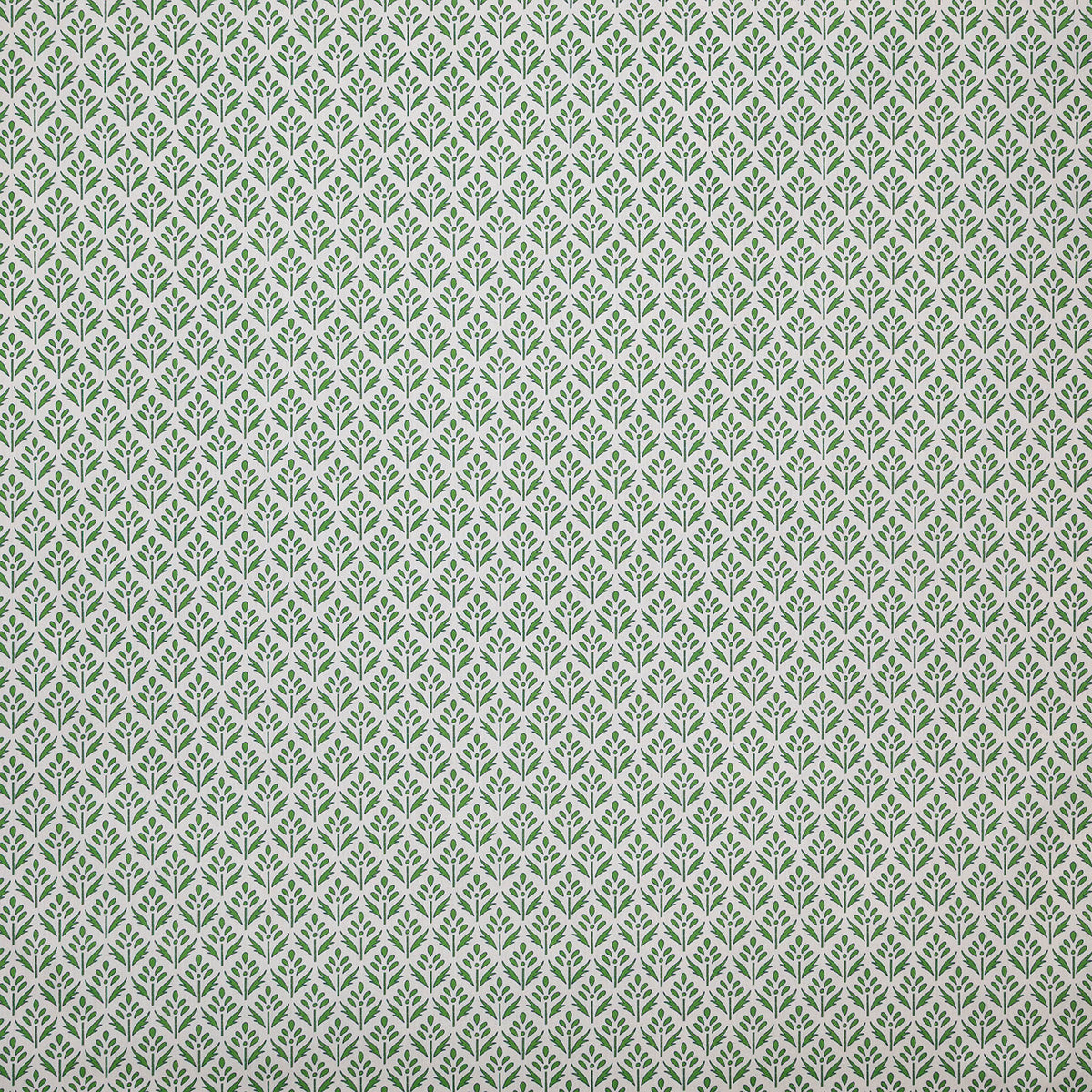 p6873-alys-palm-pindler