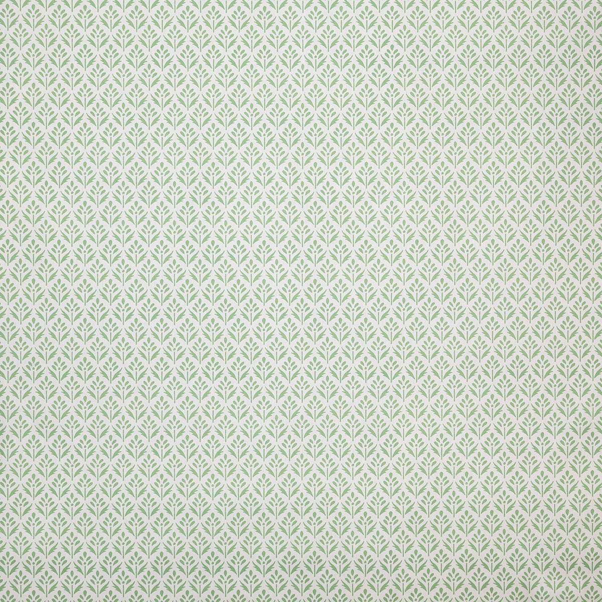 p6873-alys-pistachio-pindler