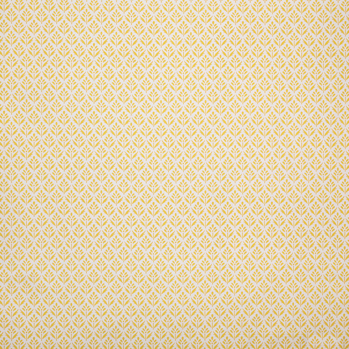 p6873-alys-sunny-pindler
