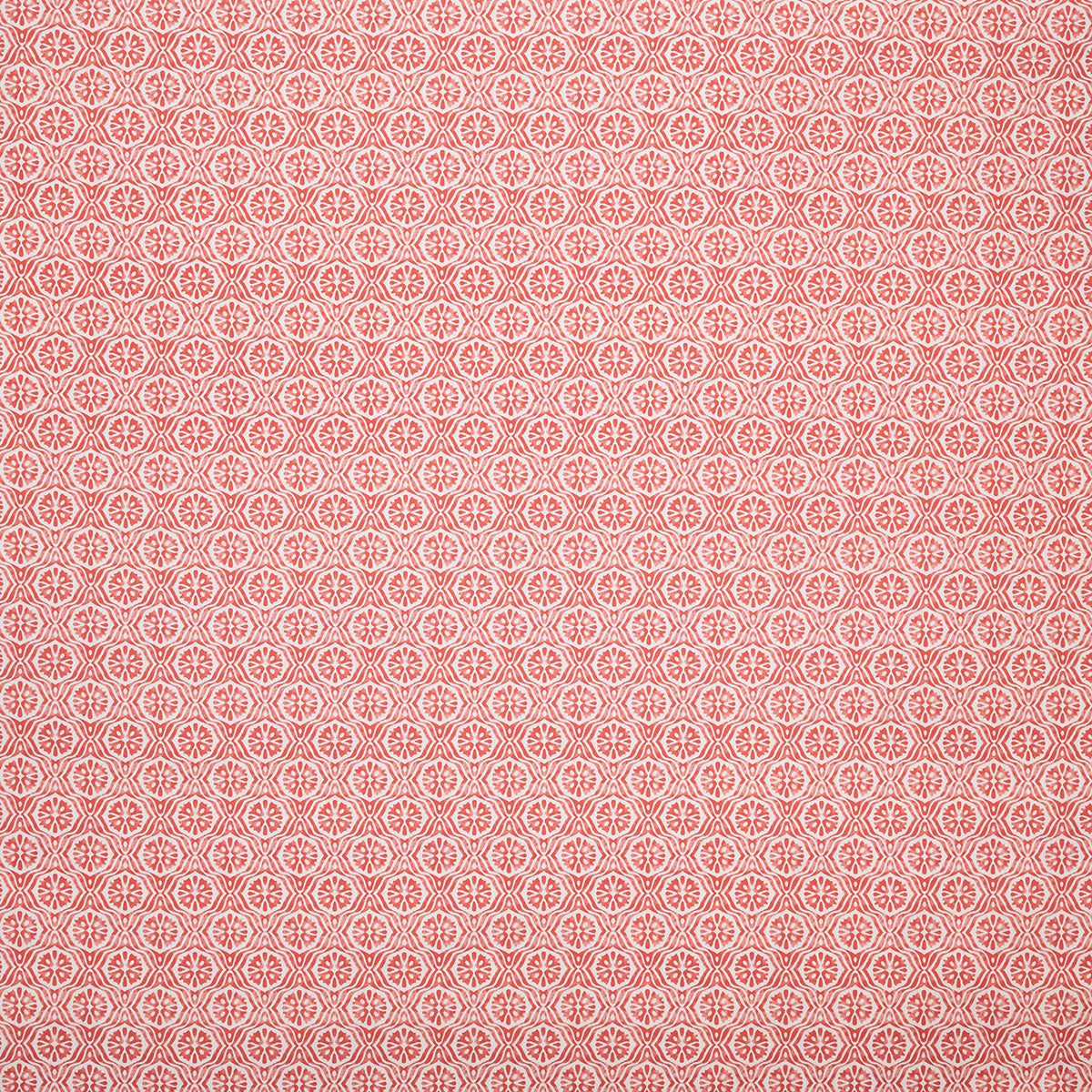 p6874-panama-coral-pindler