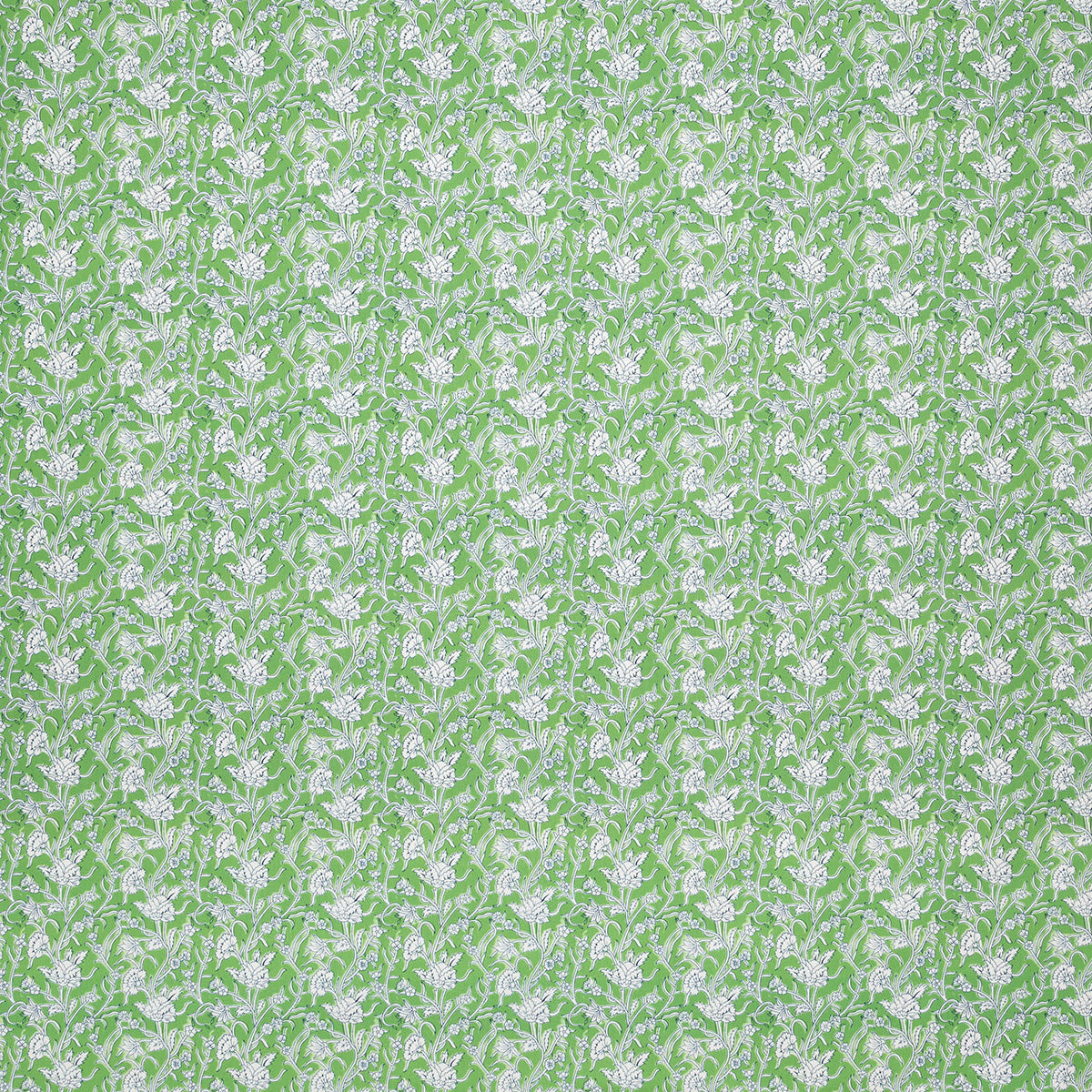 p6876-marco-palm-pindler