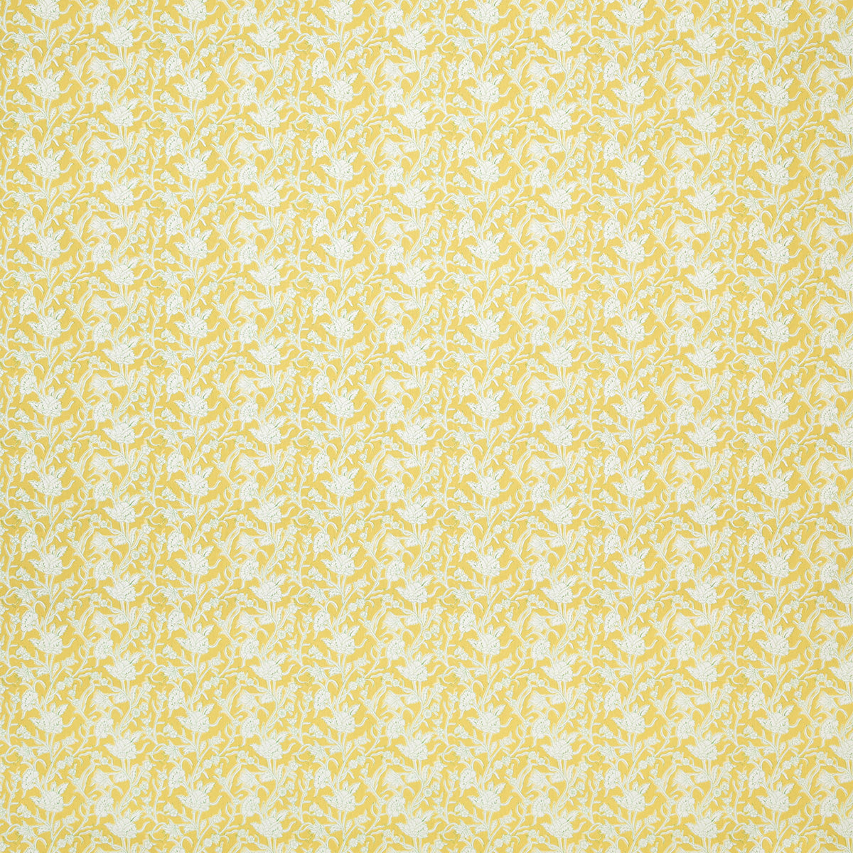 p6876-marco-sunny-pindler