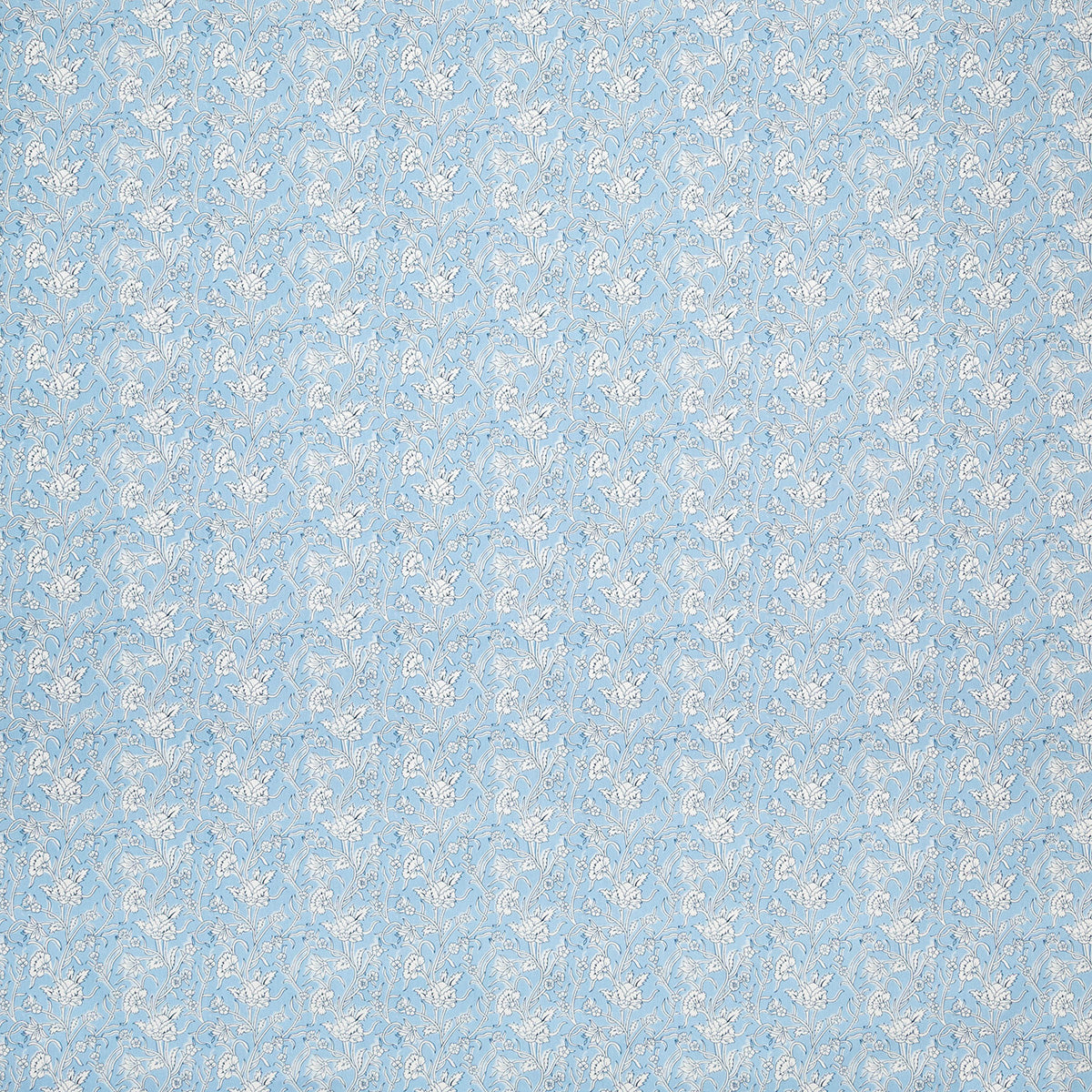 p6876-marco-wave-pindler