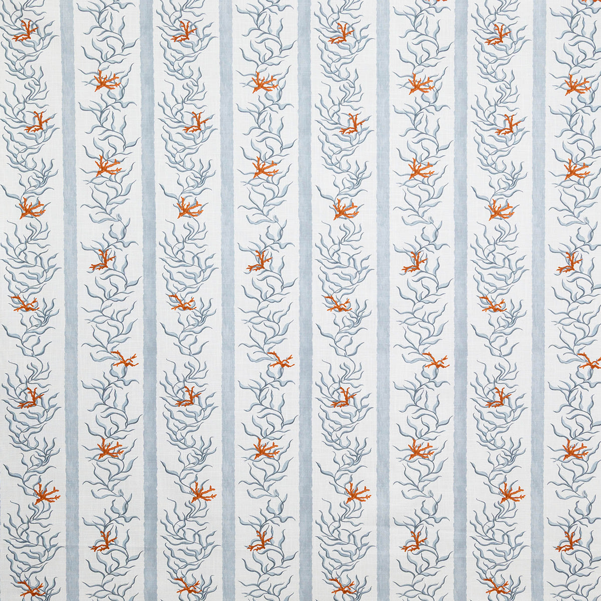 p6881-dory-vapor-pindler