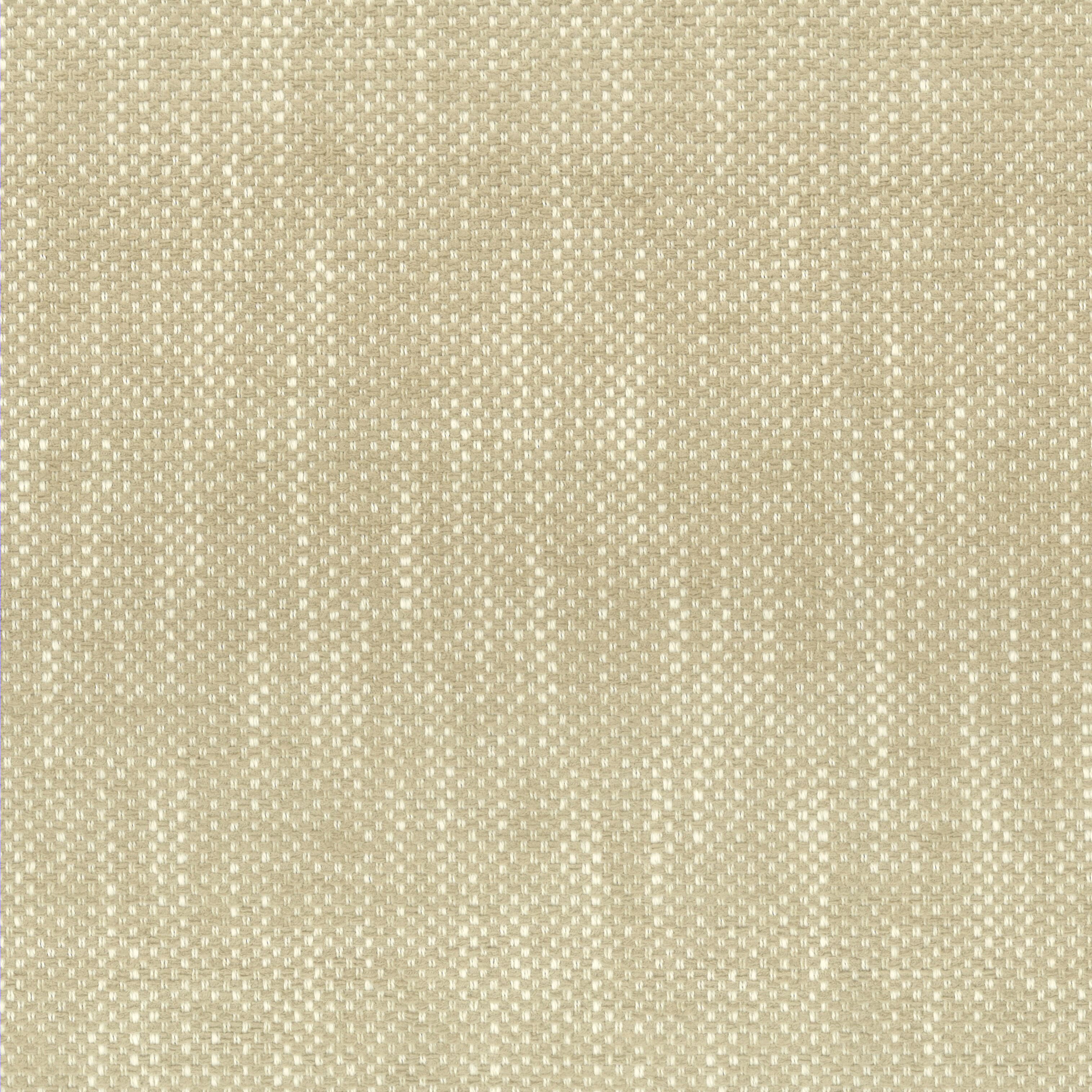 PANIC-1-CHAMPAGNE-STOUT-TEXTILES