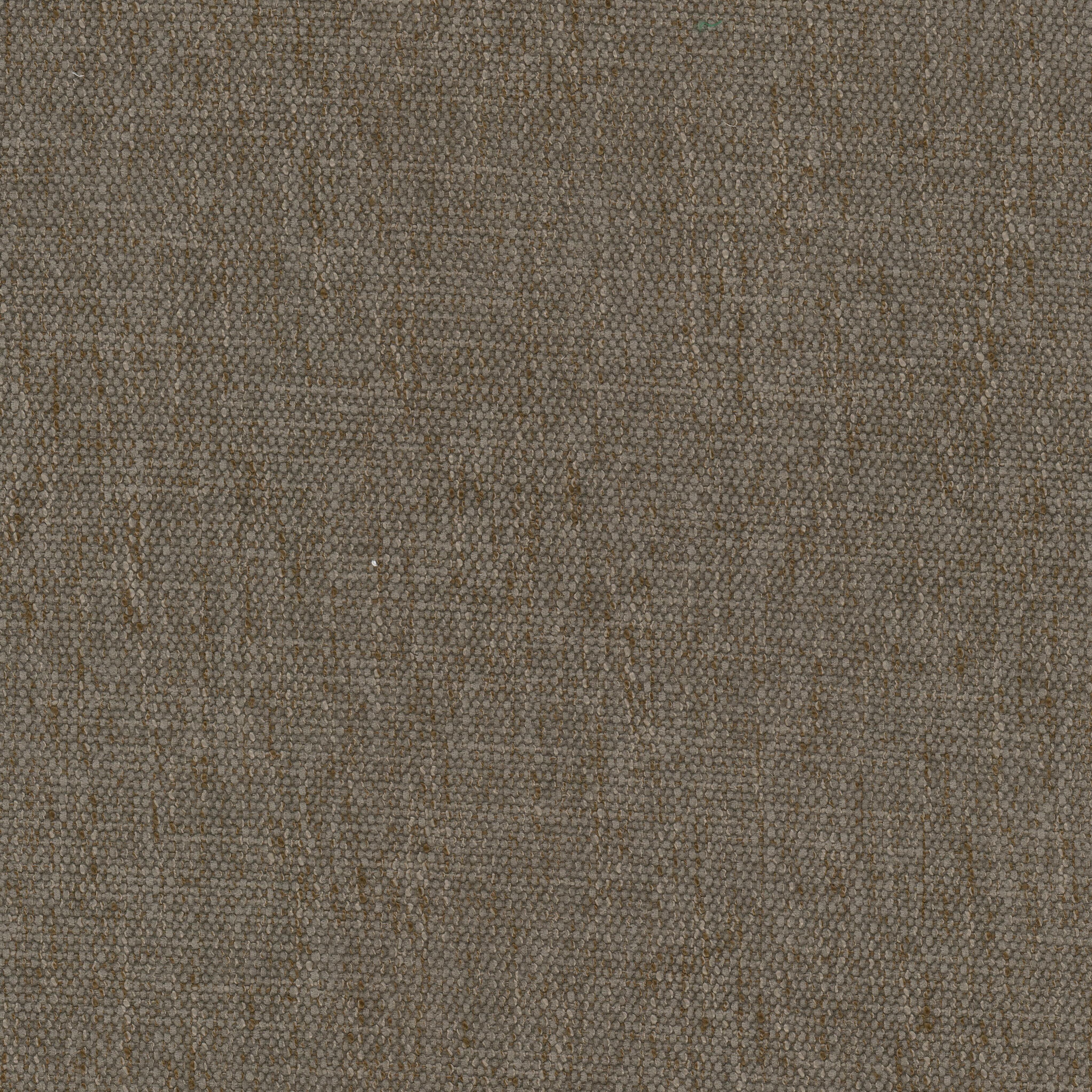 Perpetual 1 Cedar by Stout Fabric