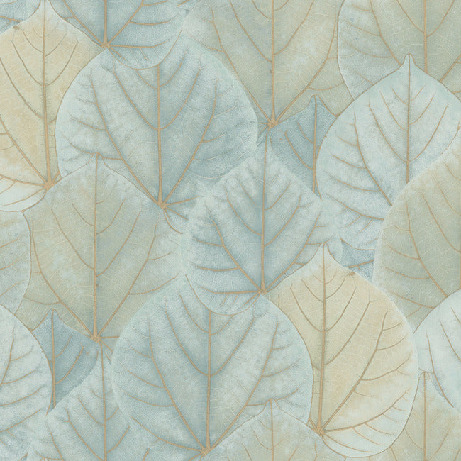 Leaf Concerto Premium Peel + Stick Wallpaper - Turquoise - York Wallcoverings - PSW1427RL