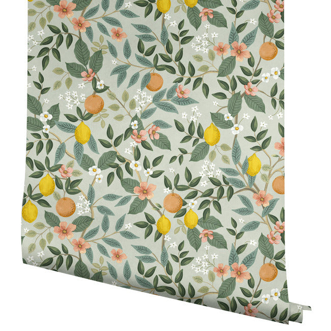 citrus-grove-premium-peel-stick-wallpaper-mint-york-wallcoverings-psw1480rl