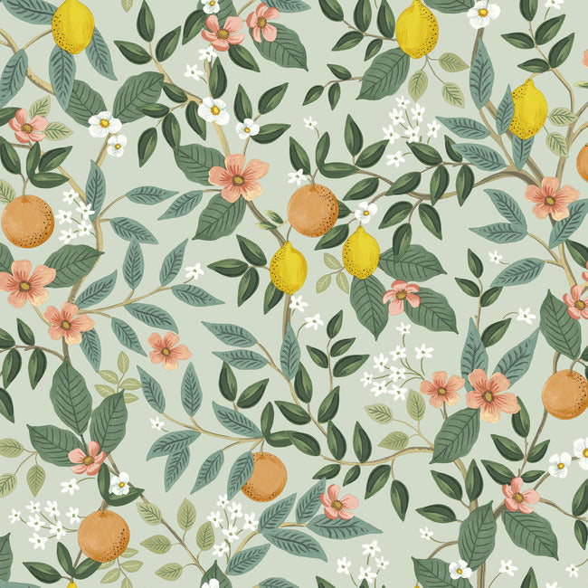 citrus-grove-premium-peel-stick-wallpaper-mint-york-wallcoverings-psw1480rl