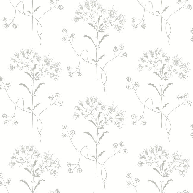 Wildflower Premium Peel + Stick Wallpaper - Grey - York Wallcoverings - PSW1502RL