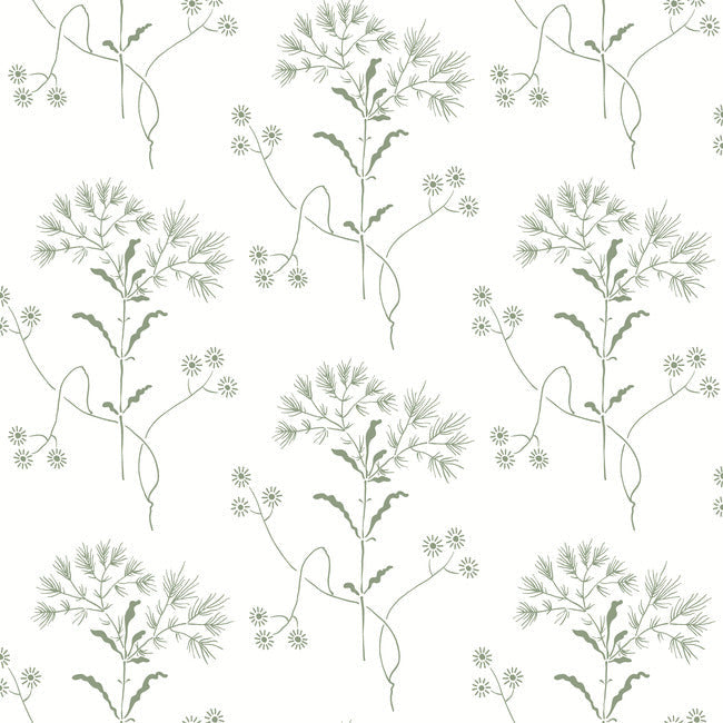 Wildflower Premium Peel + Stick Wallpaper - Green - York Wallcoverings - PSW1503RL