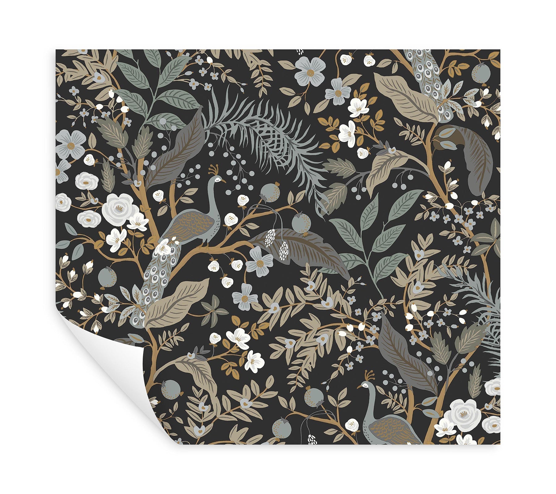 peacock-garden-peel-stick-wallpaper-black-york-wallcoverings-psw1537rl